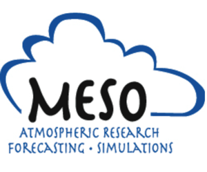 MESO, Inc.