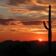 Visiting Phoenix