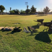 Guest Volunteer Project