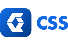 CSS Inc