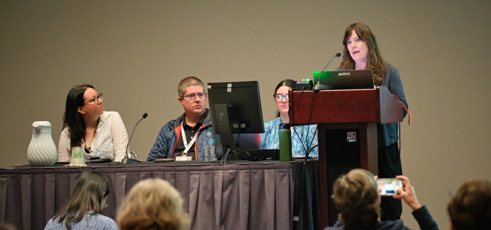 Authors and Presenters